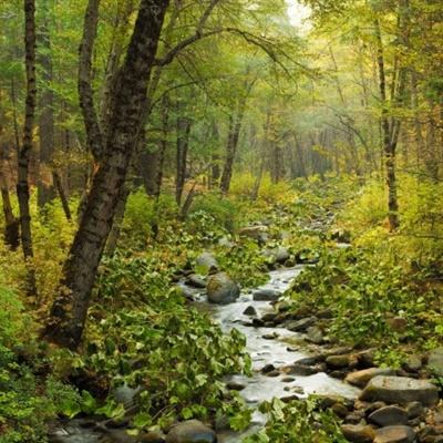 希望之村2:来生